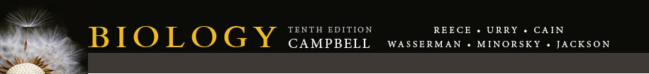 campbell 2